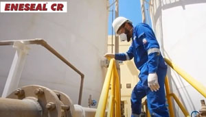 Applying ENESEAL CR